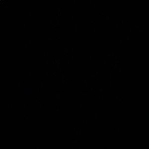 Meet your Posher, Noemy